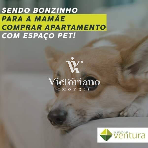 Apartamento à venda com 3 quartos, 80m² - Foto 49