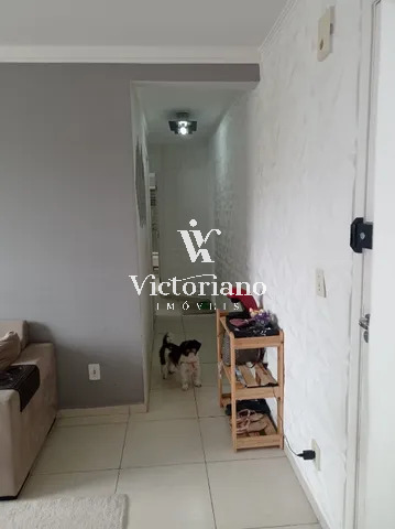 Apartamento à venda com 2 quartos, 54m² - Foto 10