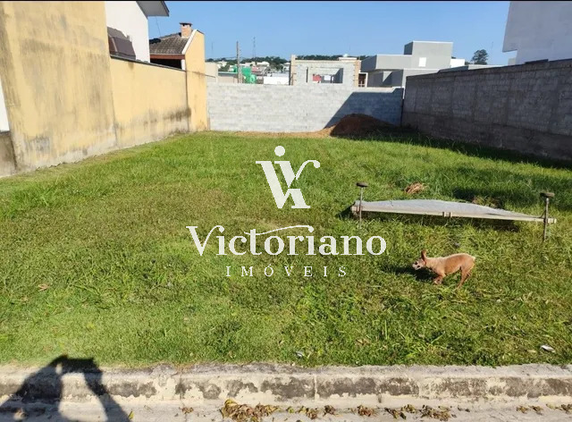 Terreno à venda, 300m² - Foto 2